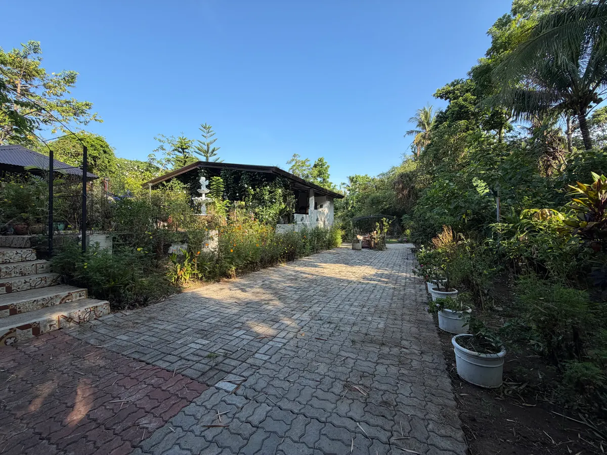 Outdoor garden space for intimate gatherings at San Jose Cabins