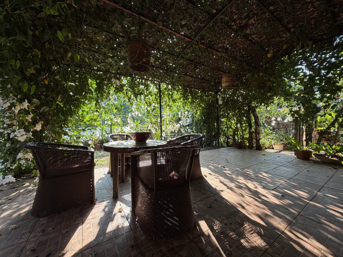 Outdoor sitting area in the garden at San Jose Cabins